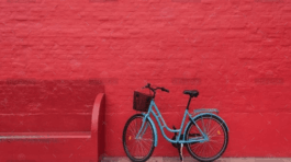 demo-attachment-1546-christian-stahl-xmGkzY-Fgg-unsplash@2x